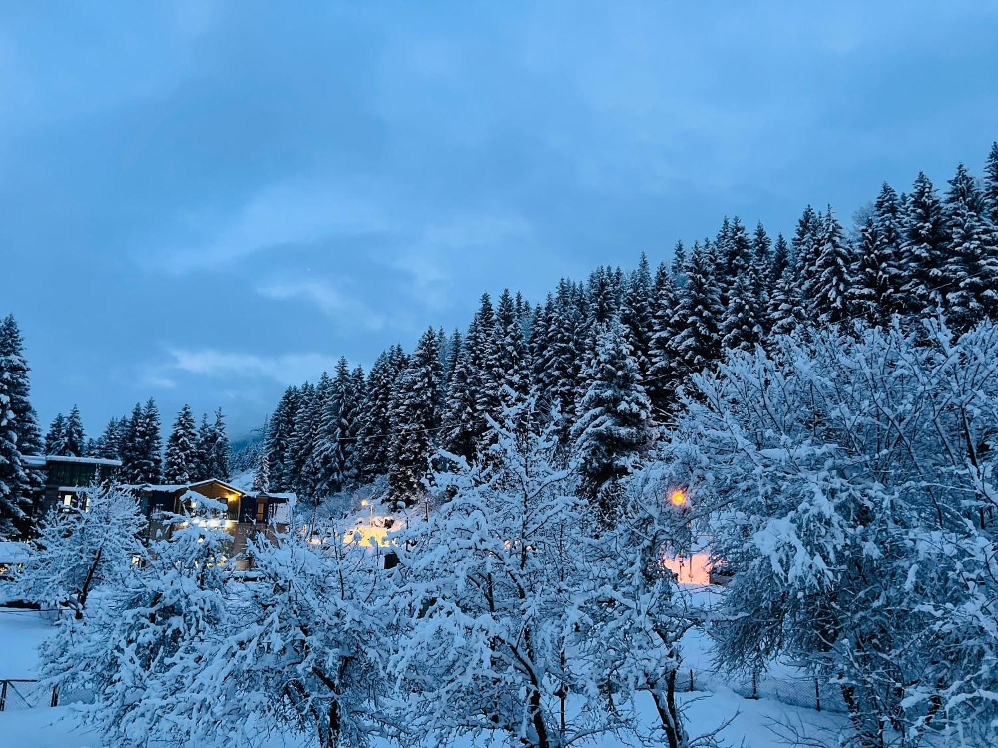 Hotel Shgedi Mestia Zewnętrze zdjęcie